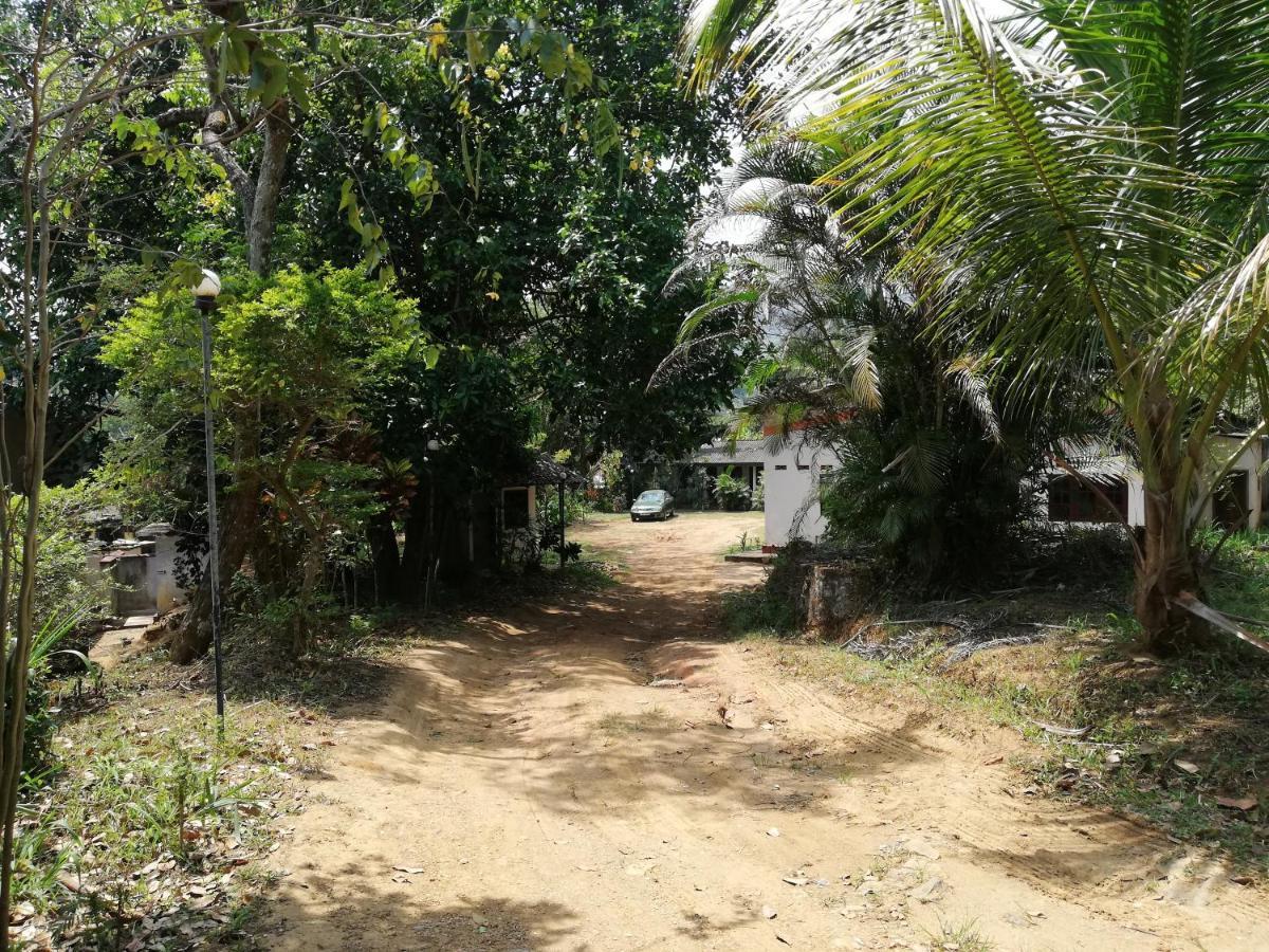 Leaf Guest House Gampola Extérieur photo