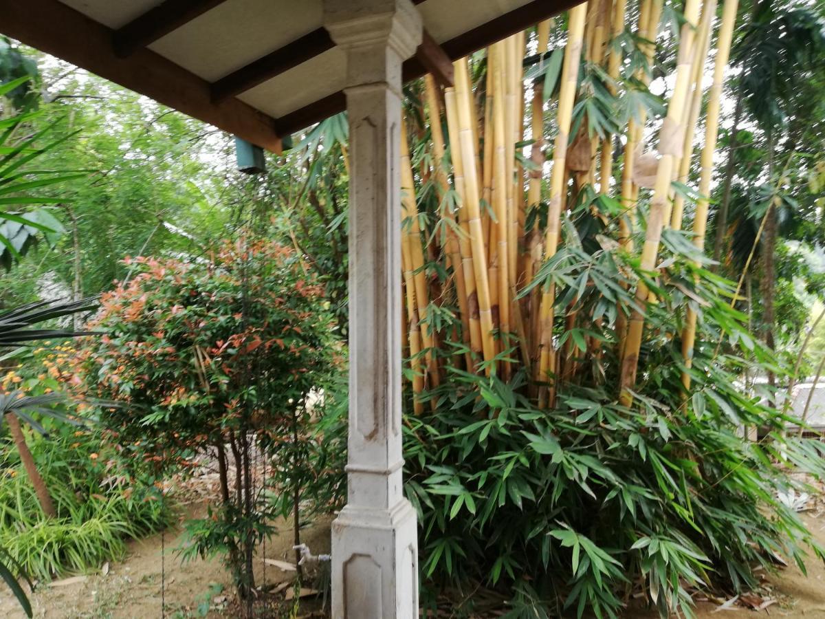Leaf Guest House Gampola Extérieur photo