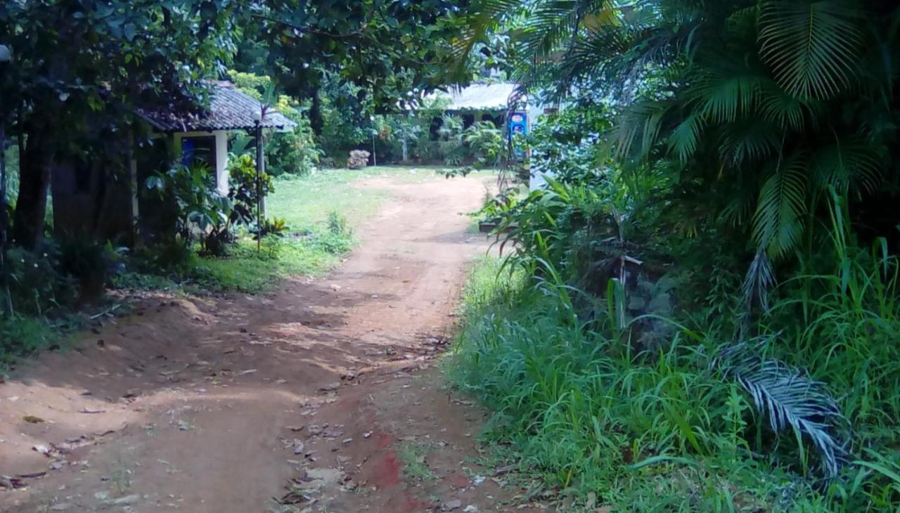 Leaf Guest House Gampola Extérieur photo